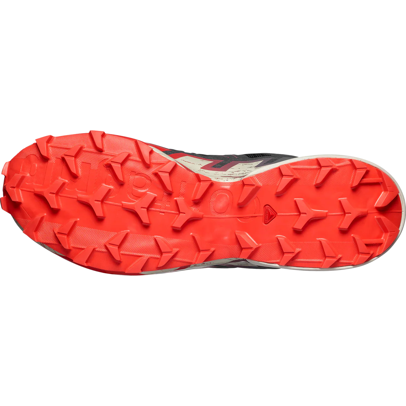 Salomon SPEEDCROSS 6 Men's Trail Running Shoes
